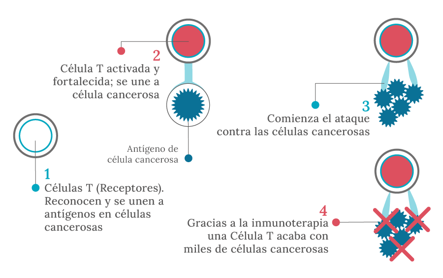 usos-inmunoterapia-oncologo-xalapa
